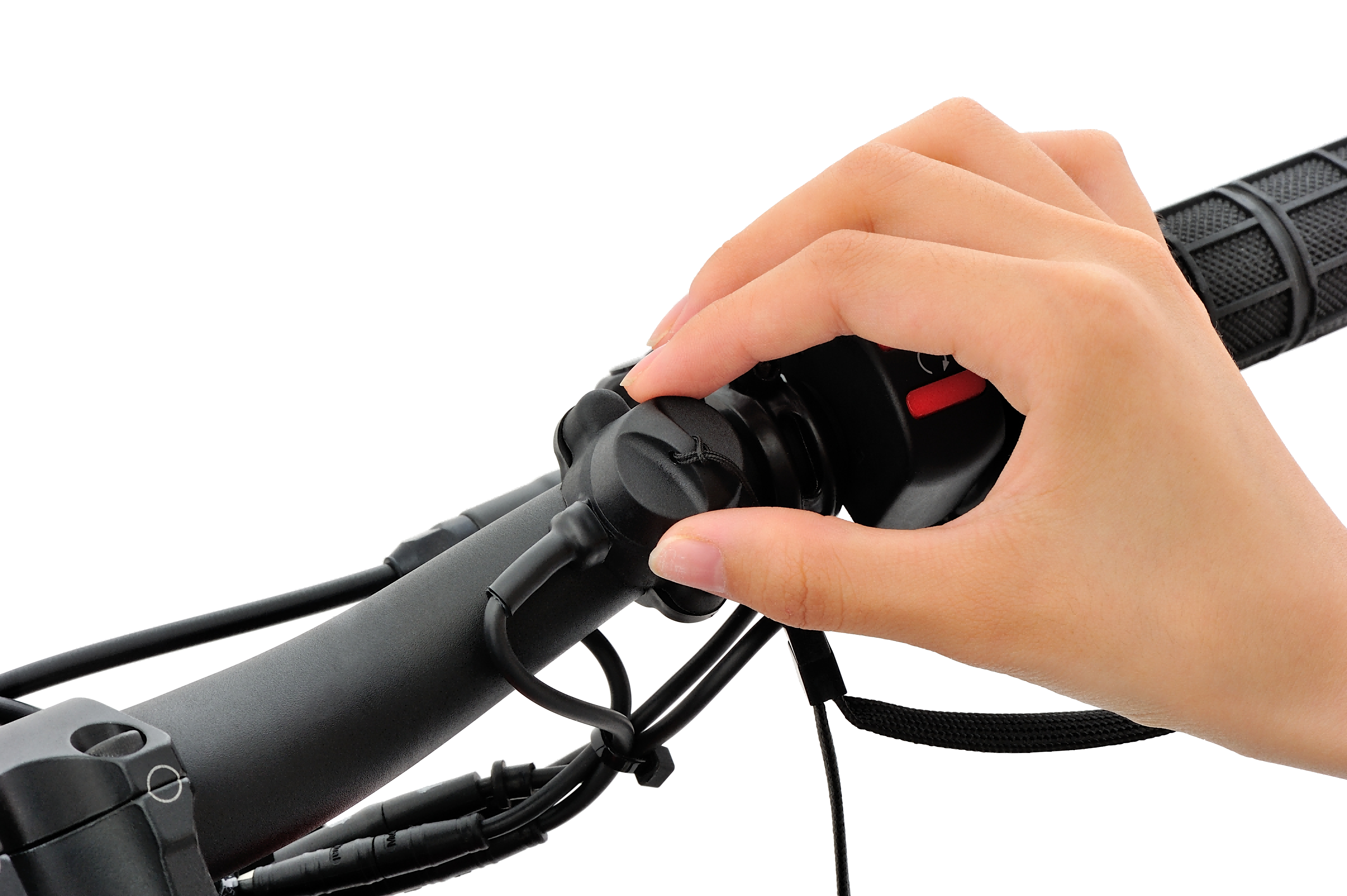 Mantis Model Killswitch